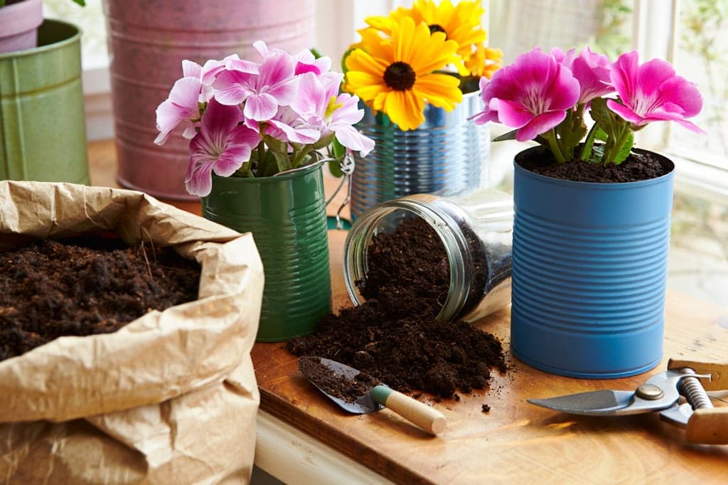 Reaproveitar vasos e terra