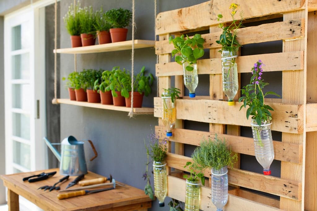 Soluções criativas para jardim reciclado