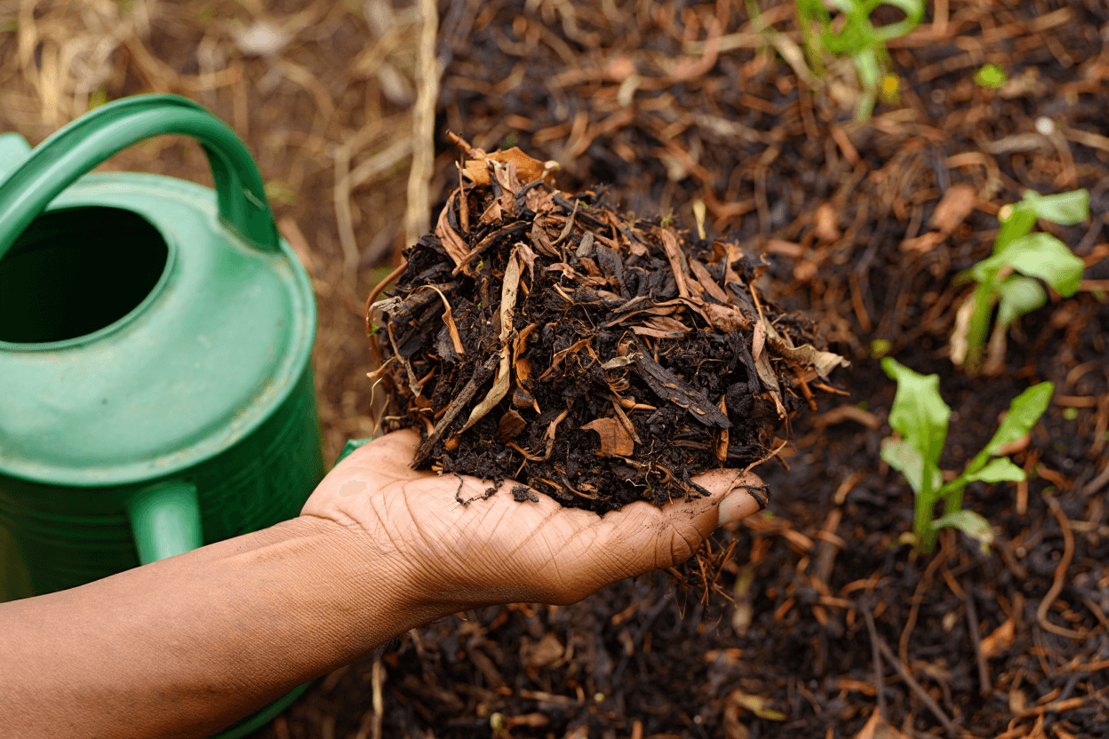 Solo preparado para retenção de umidade