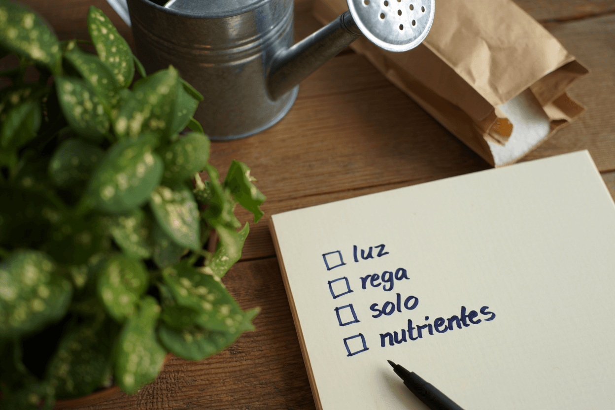 Checklist de folhas amarelas