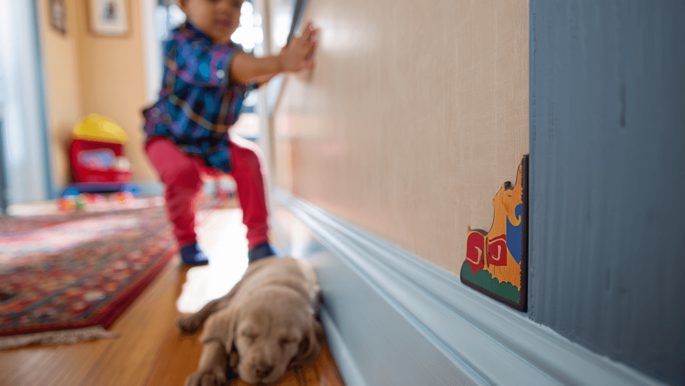 Paredes limpas e bem cuidadas em um ambiente decorado