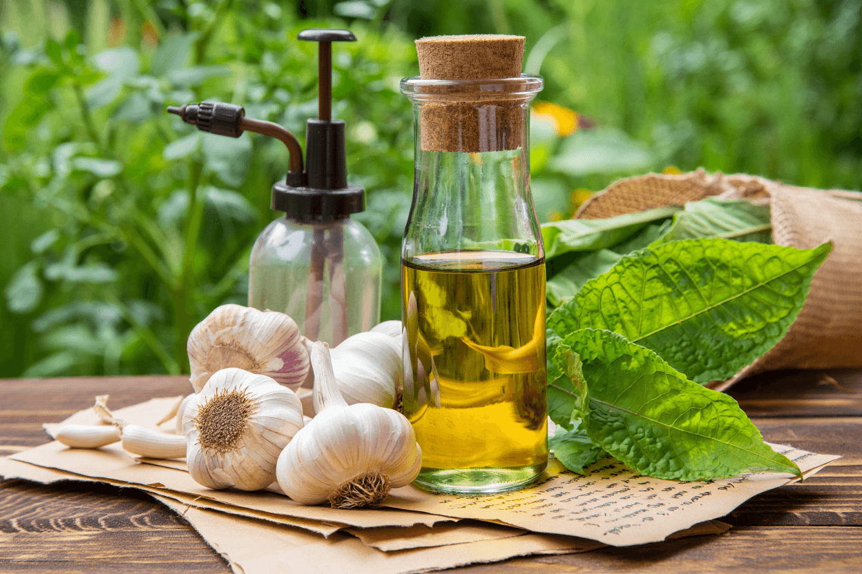 Receitas caseiras antipraga